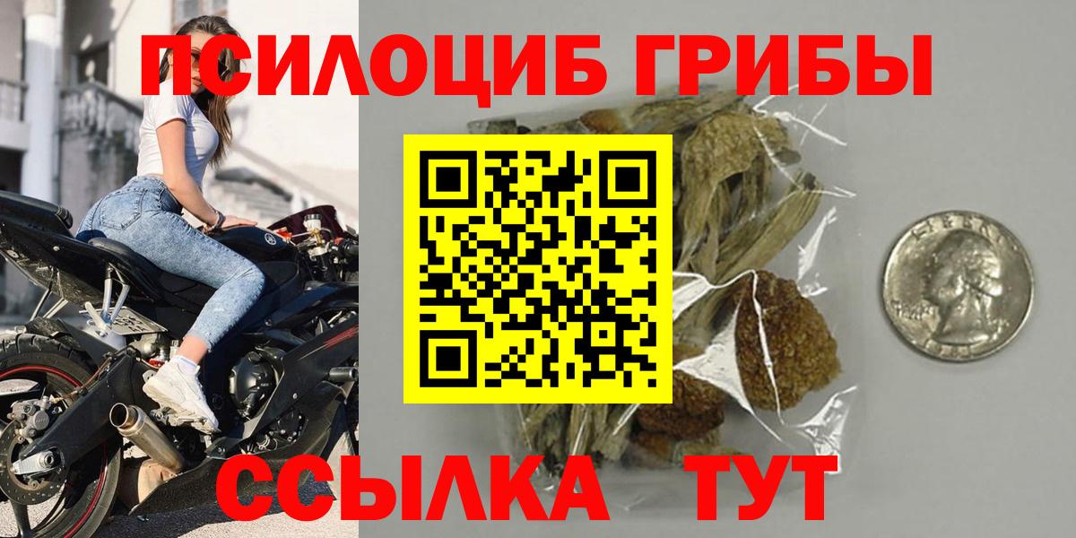 Галлюциногенные грибы мухоморы Краснознаменск
