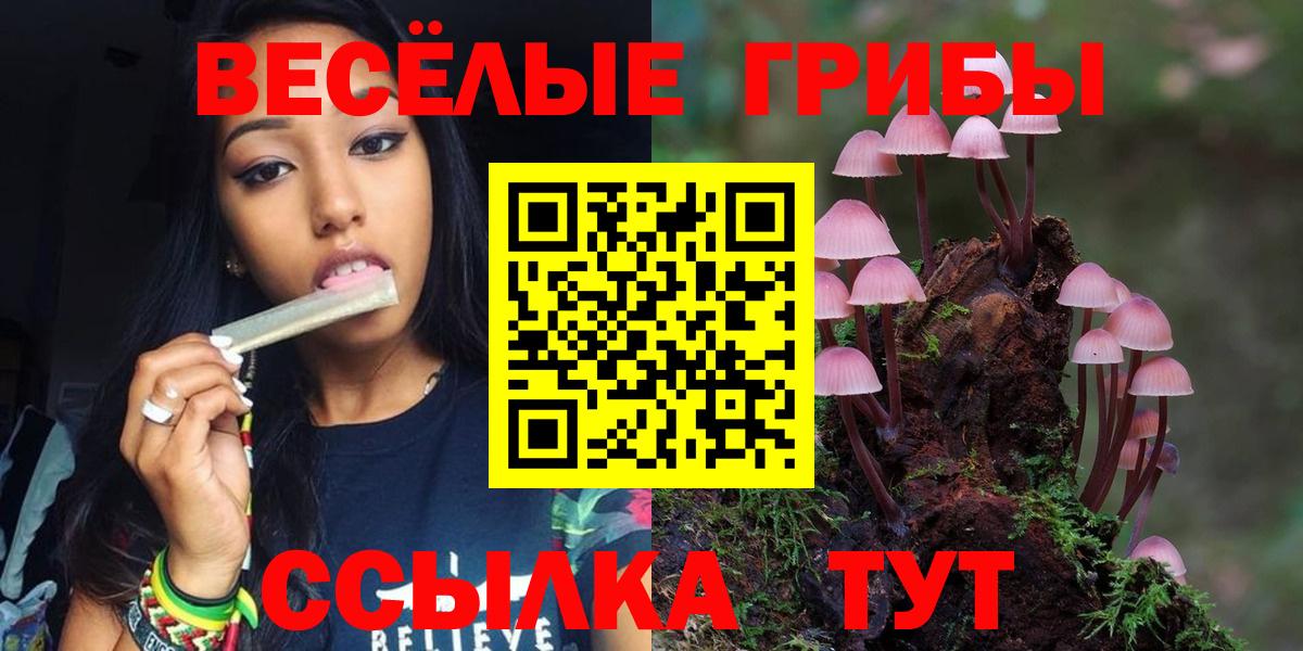 Псилоцибиновые грибы прущие грибы  Вход с VPN  Краснознаменск 